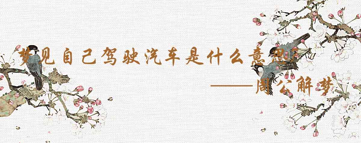 周公解夢,夢見自己駕駛汽車是什麼意思,夢到自己駕駛汽車好不好