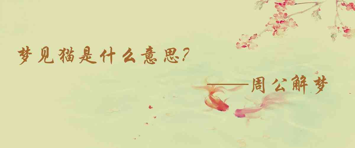 周公解夢,夢見貓是什麼意思,夢到貓好不好