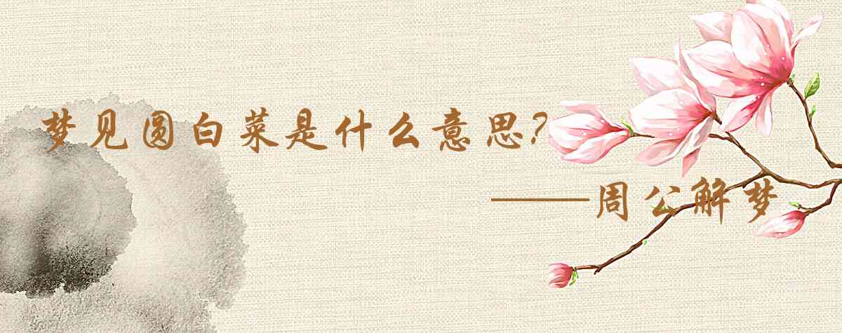 周公解夢,夢見圓白菜是什麼意思，夢到圓白菜好不好